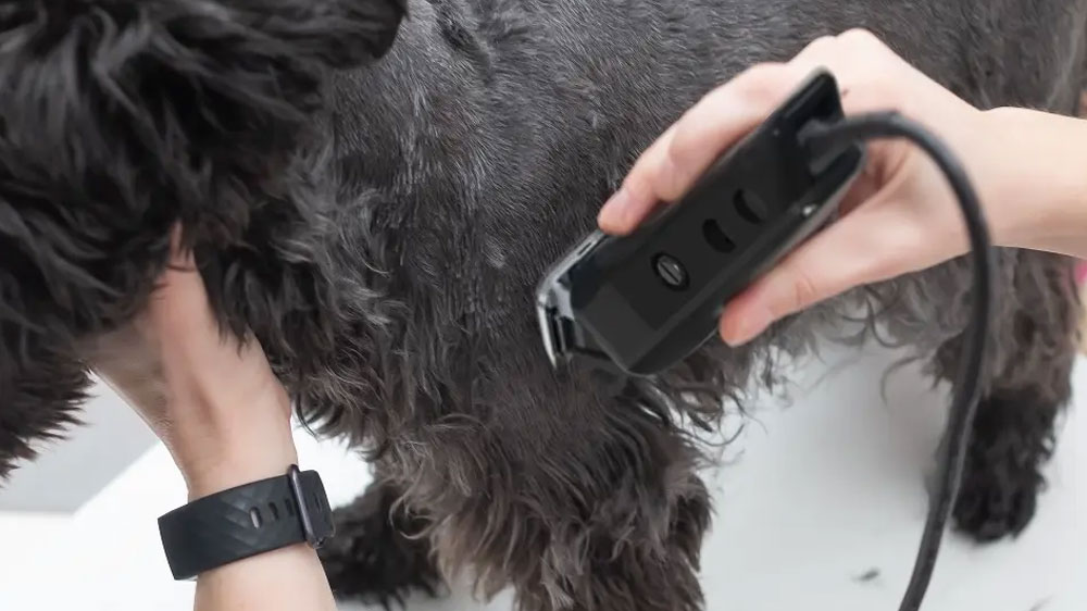 Stříhání psa se zastřihovačem srsti WAHL Multicut Pet Clipper_02