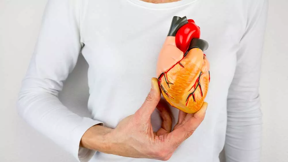Oxymetr hl&iacute;d&aacute; va&scaron;e zdrav&iacute;_02