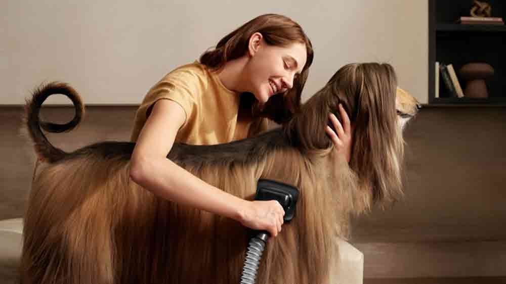 Žena vysává srst psa tyčovým vysavačem Dreame Z30 Station_05