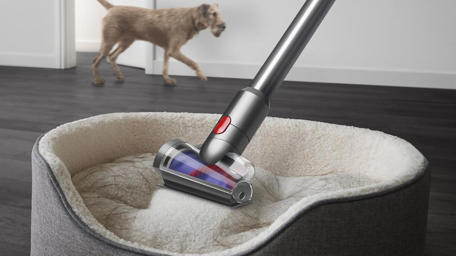 &Uacute;klid ps&iacute;ho pel&iacute;&scaron;ku s vysavačem Dyson V12