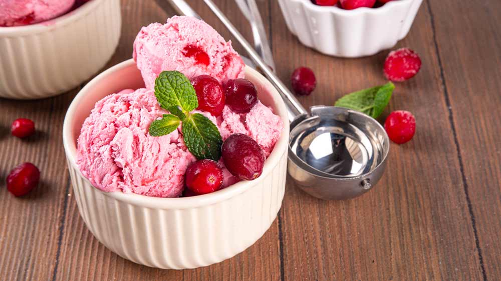 Domácí brusinková zmrzlina_02