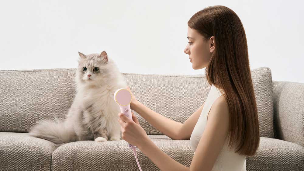 Žena klečí před sedačkou, na které fénuje kočku_02