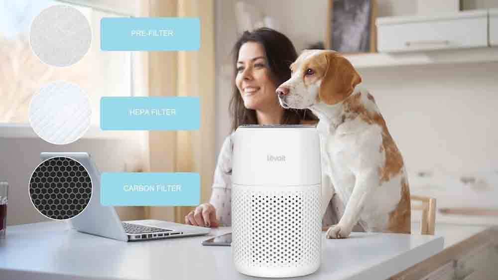 Žena se psem u notebooku s čističkou vzduchu Levoit SMART Core200S_05