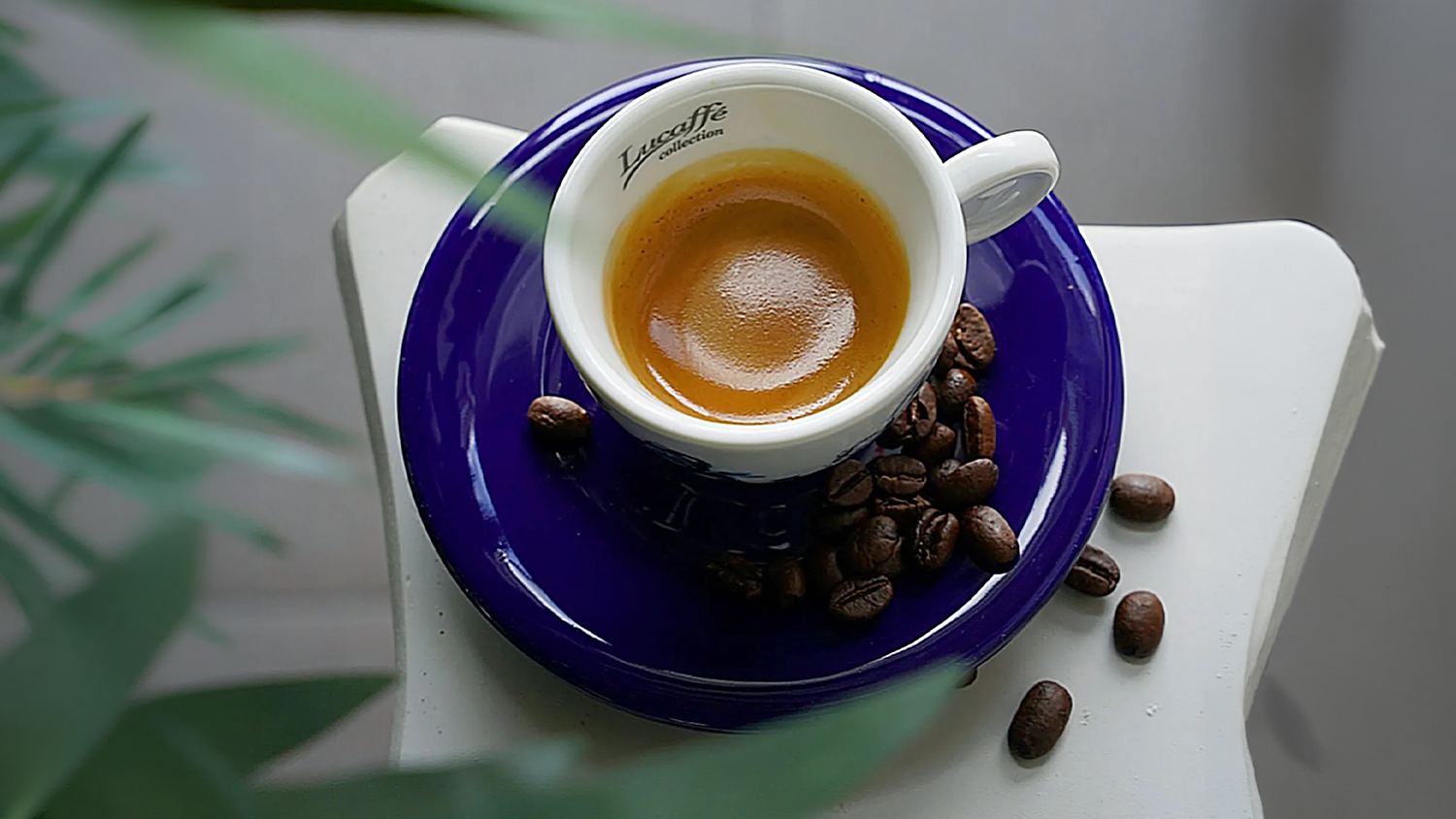 Šálek kávy Lucaffé