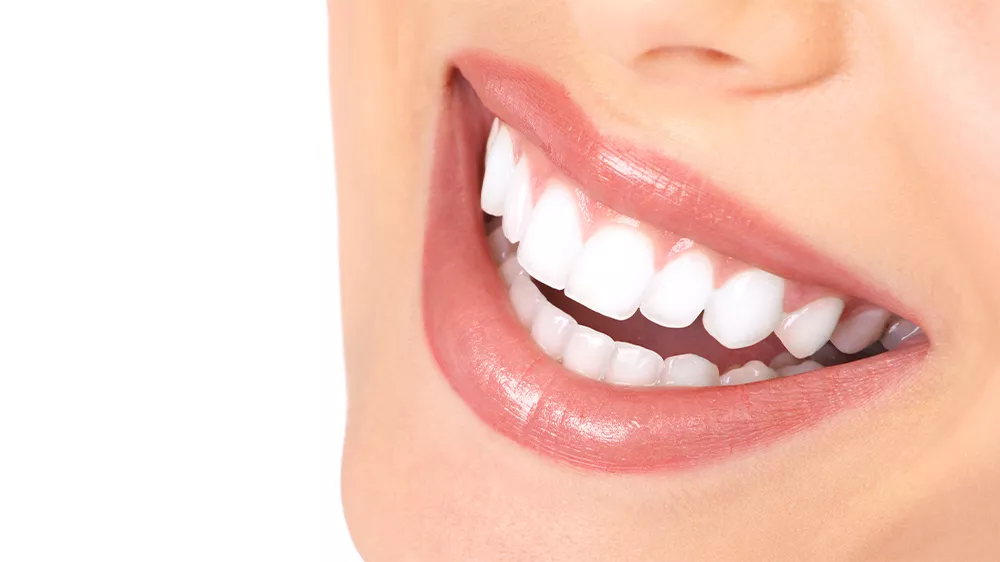 Oral-B Battery DB5