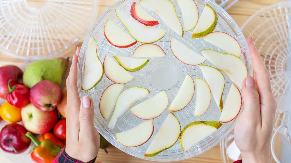 Žena drží v rukou plata s nakrájenými jablky řipravenými k sušení_02