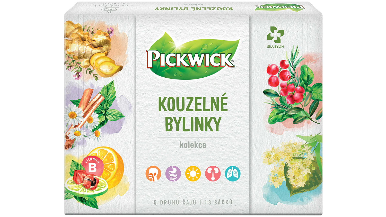 Kolekce čajů Pickwick Kouzelné bylinky