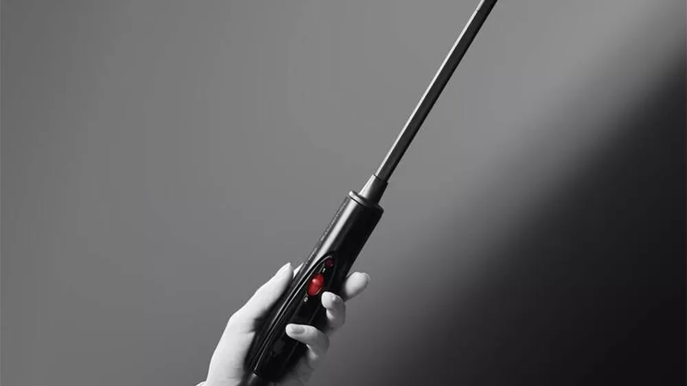Kulma Rowenta CF311LF0
