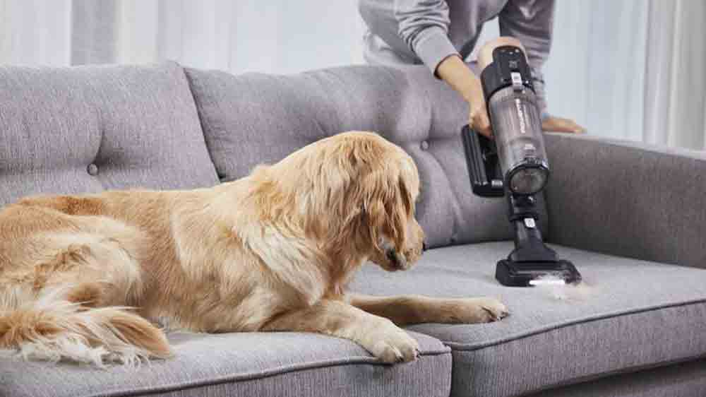 Žena vys&aacute;v&aacute; pohovku, na kter&eacute; lež&iacute; pes_03