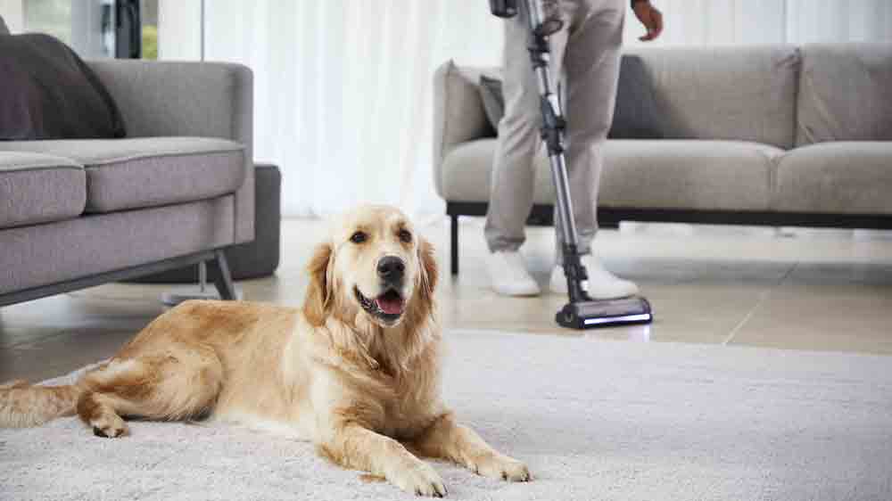 Žena vys&aacute;v&aacute;, pes lež&iacute; na zemi_04