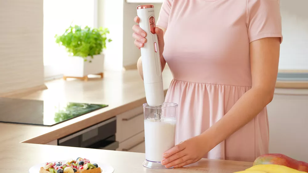 Ručný mixér SHB 9000WH