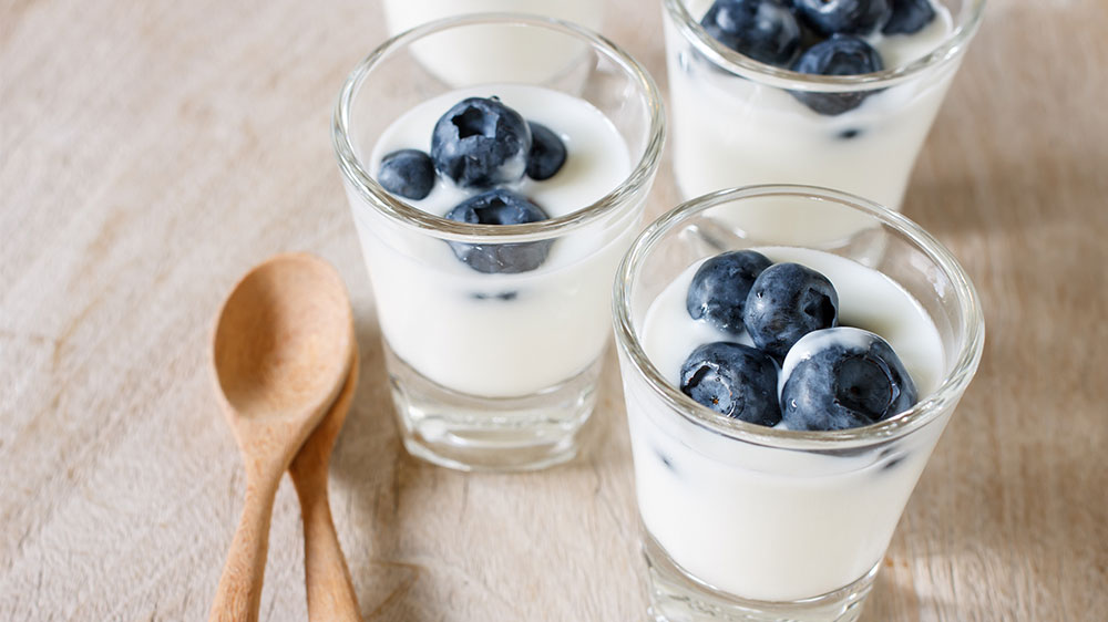 JOGURTOVAČ Severin JG 3518