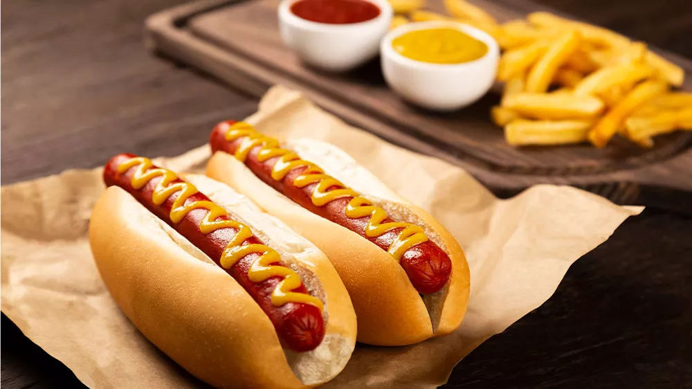 HOTDOGOVAČ VIGAN HD20X