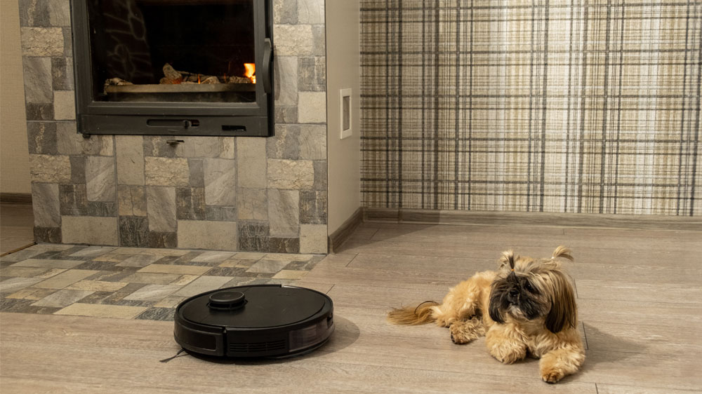 Robotick&yacute; vysavač vys&aacute;vaj&iacute;c&iacute; tvrdou podlahu, kde lež&iacute; pejsek Shitzu pobl&iacute;ž krbu obložen&eacute;ho kamenem_03