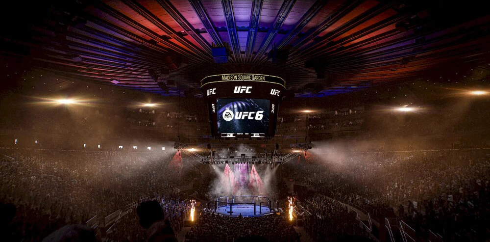 UFC oktagon