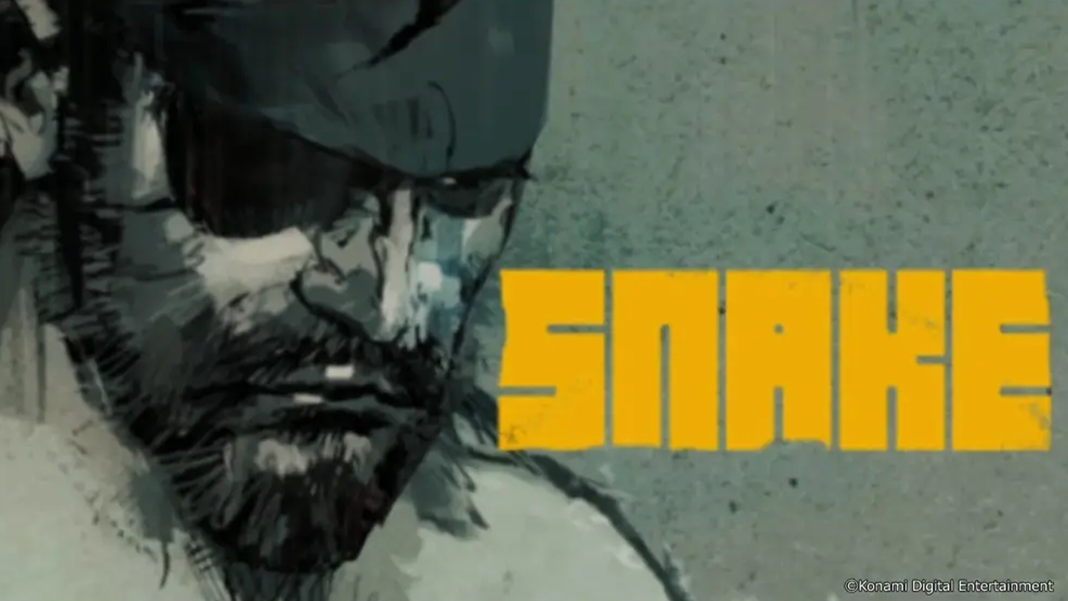 Postava Solida Snakea