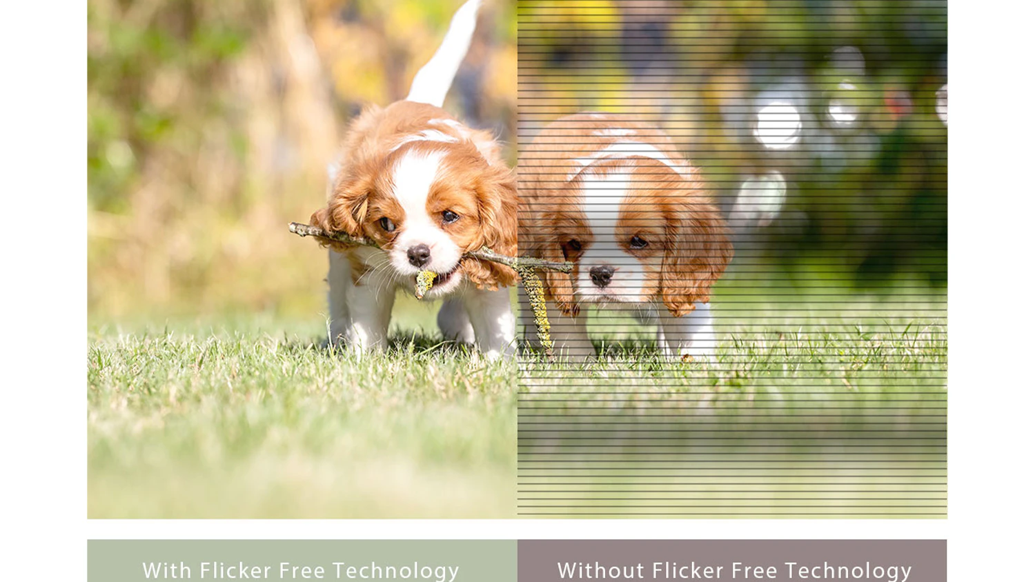 Porovnanie obrazu s technológiou Flicker Free a bez nej