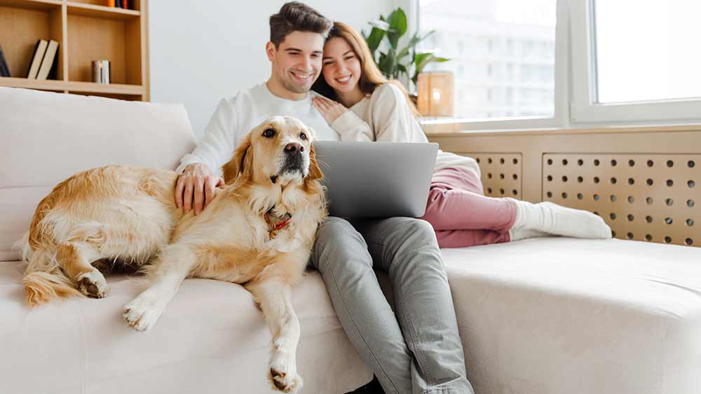 Mladý pár u notebooku_02