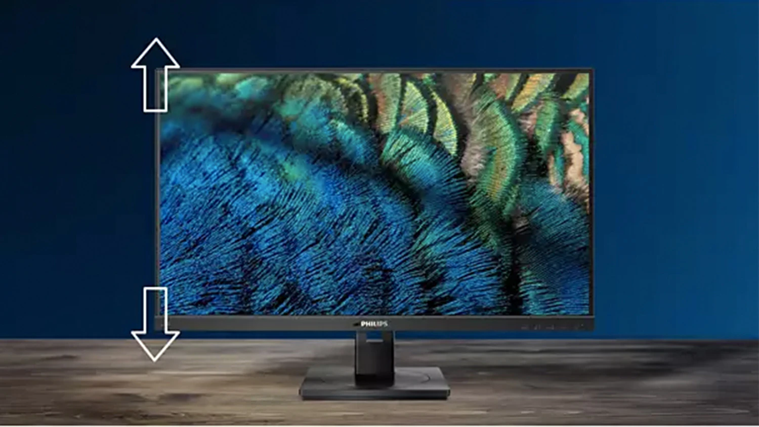Nastavenie monitora Philips s Ergo Base