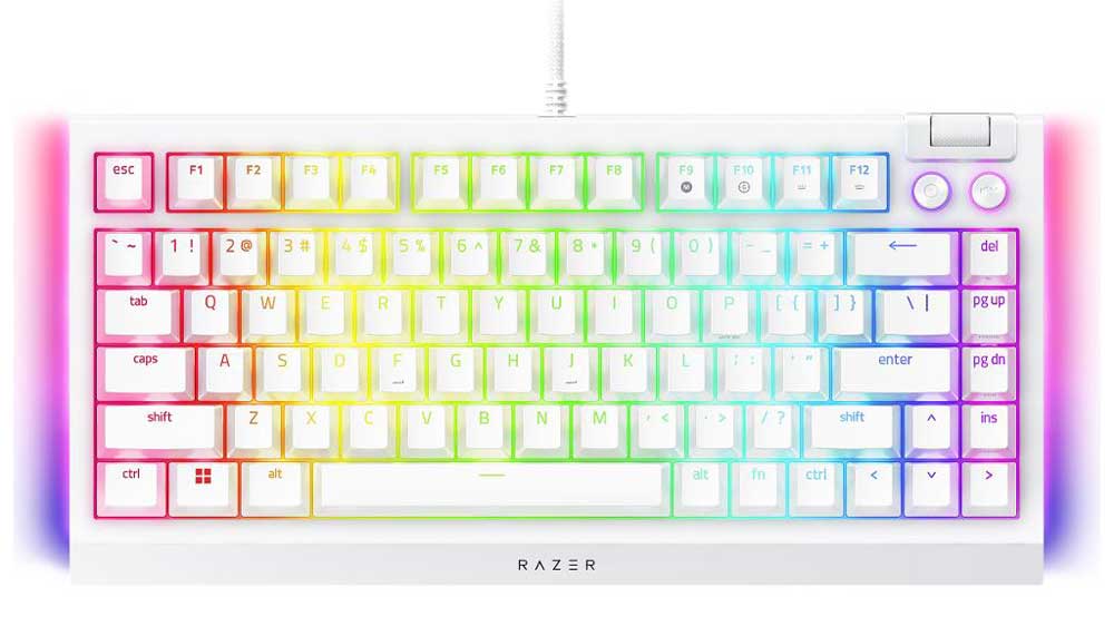 Kompaktní klávesnice Razer BlackWidow V4 75% (rozložení USA) _01