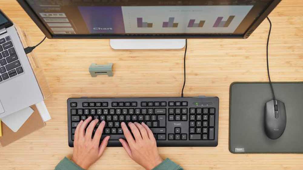 Žena pracující na pc pomocí myši Trust TM-101_02