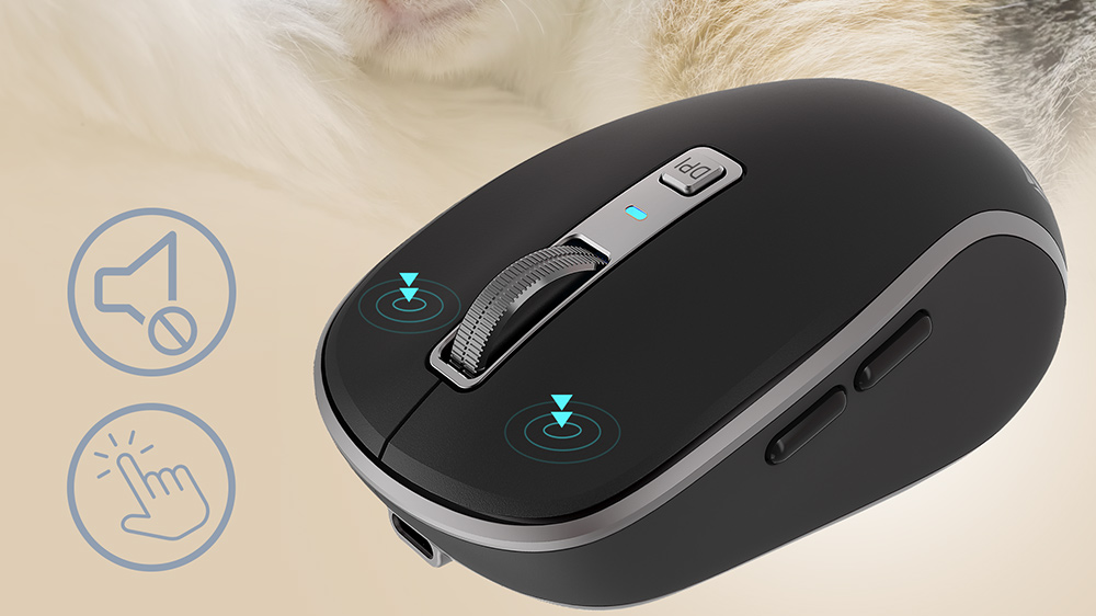 Kočka s myší - elektrickou