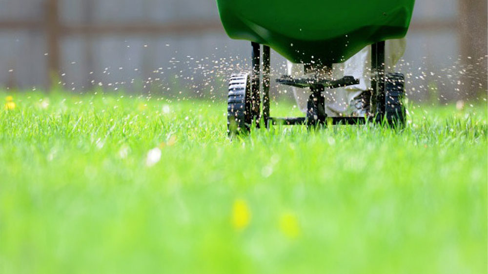 Vytváranie trávníku_02