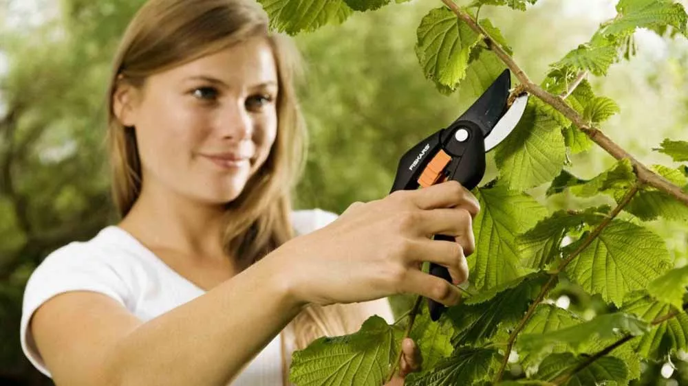 Mlad&aacute; žena strih&aacute; vetvy z&aacute;hradn&yacute;mi nožnicami Fiskars SingleStep P26