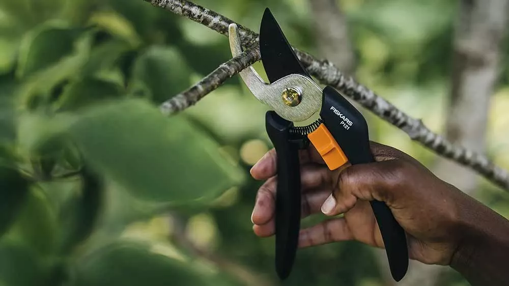 Ruka strihajúca vetvu záhradnými nožnicami Fiskars P121