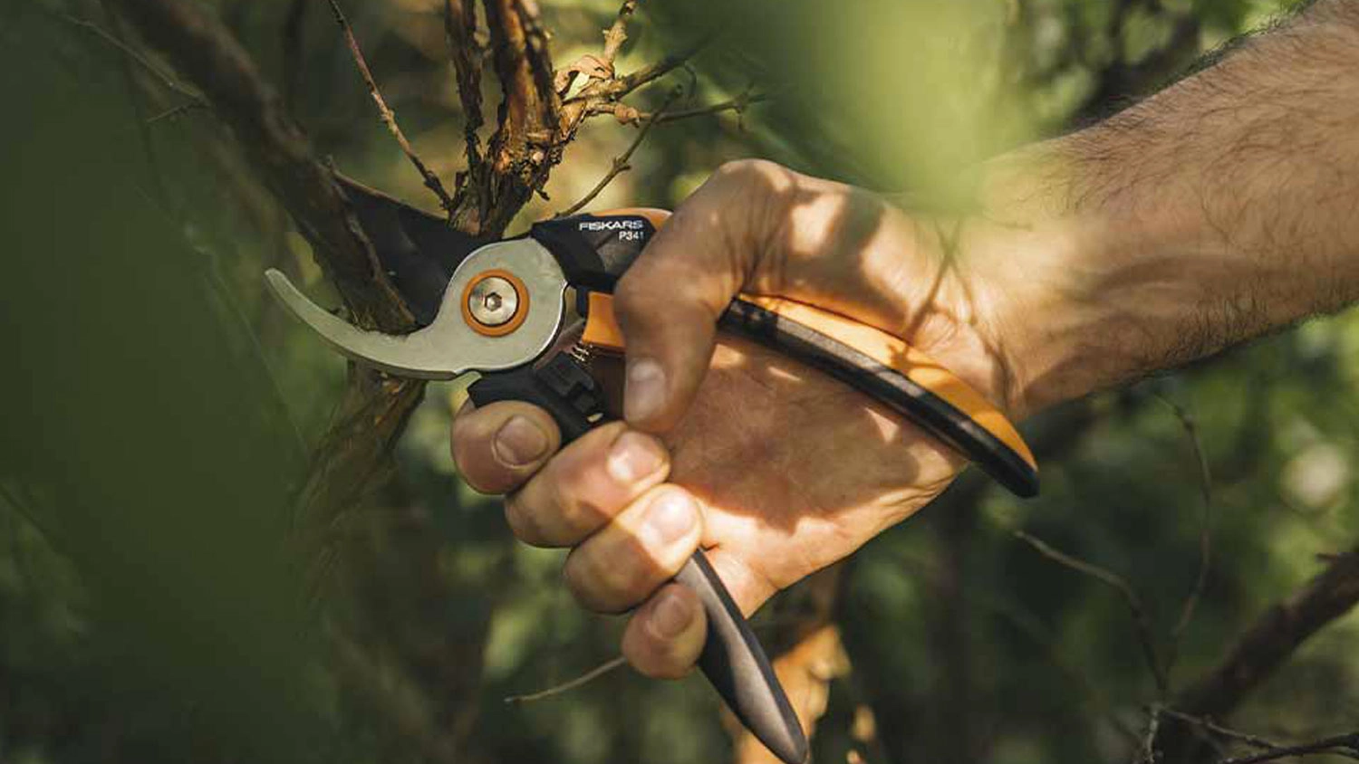 Ruka strihajúca vetvu záhradnými nožnicami Fiskars