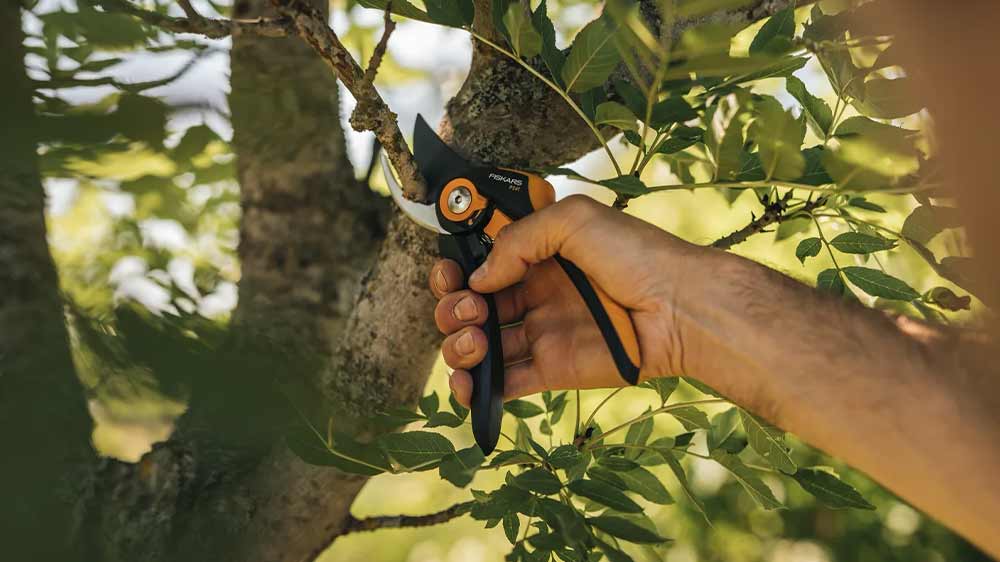 Muž strihá vetvy záhradnými nožnicami Fiskars