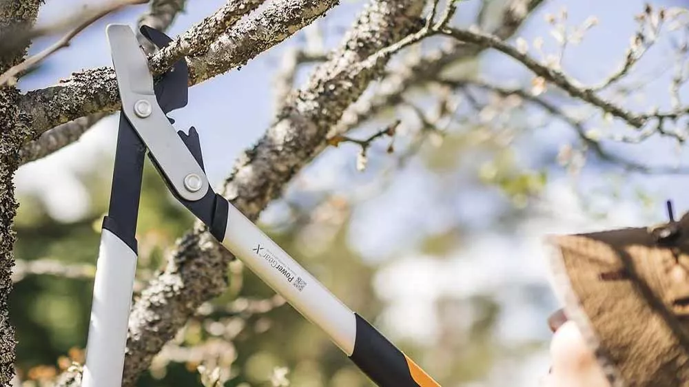 Muž strihá vetvy stromu dvojdielnymi nožnicami Fiskars X (S) LX92