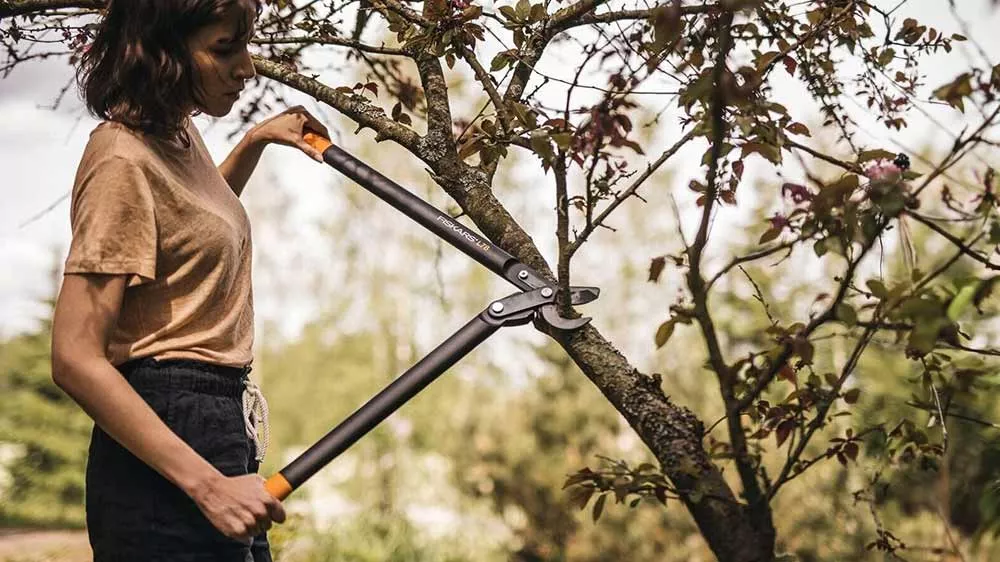 Žena strihá vetvy stromu dvojdielnymi nožnicami Fiskars PowerGear (L) L78