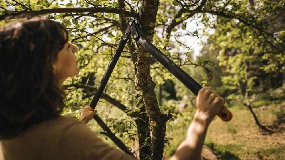 Žena strihá horné vetvy stromu dvojčepelovými nožnicami Fiskars PowerGear (L) L78