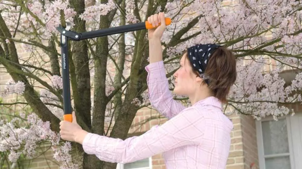Žena strihajúca ker nožnicami Fiskars PowerGear L74