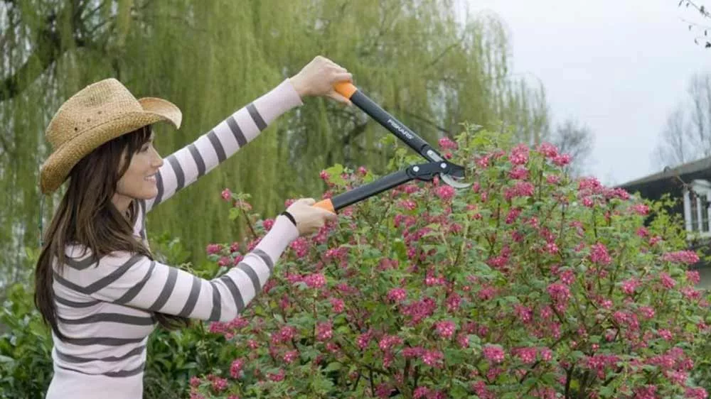 Žena strihaj&uacute;ca ker nožnicami Fiskars PowerGear L70