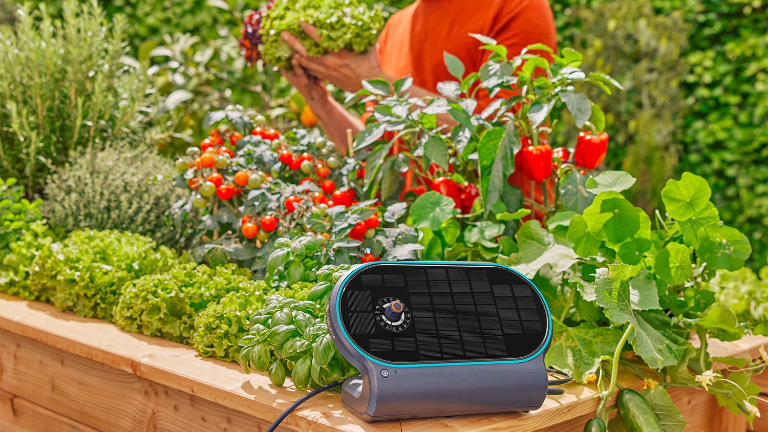 Zavlažov&aacute;n&iacute; Gardena na zahradě, kde muž zahradnič&iacute;