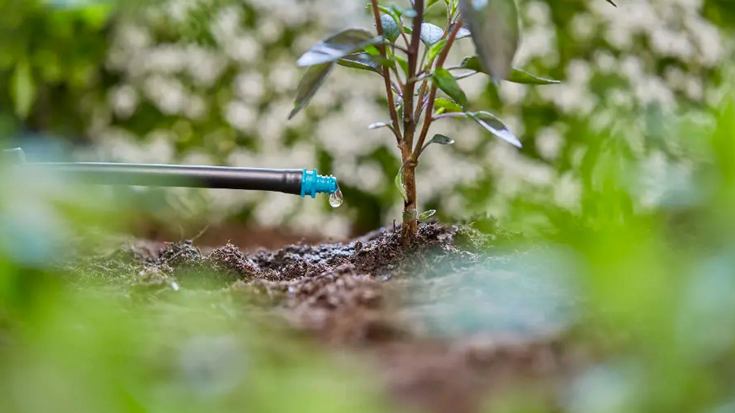 Koncov&yacute; kapač Gardena Micro-Drip-Syst&eacute;m 2 l/h v z&aacute;honě