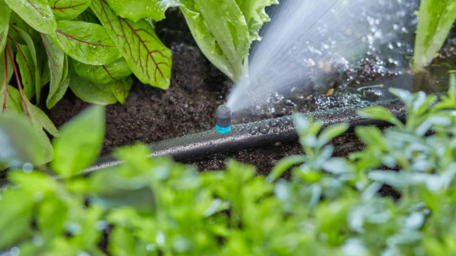 Koncový mikro pruhový zavlažovač Gardena v záhoně