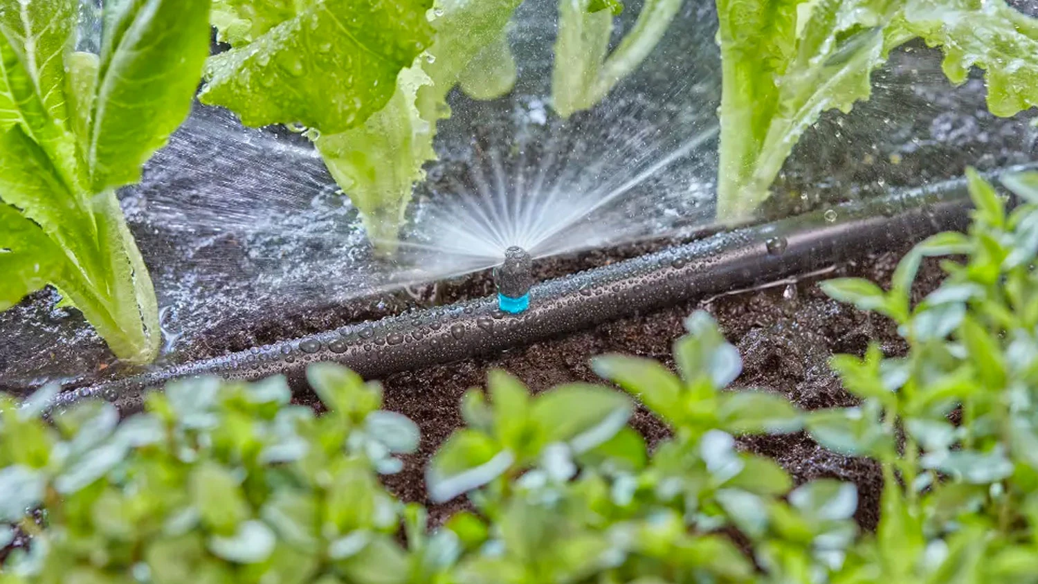 Rozpra&scaron;ovac&iacute; tryska 180&deg; Gardena pro Micro-Drip-System v z&aacute;honě
