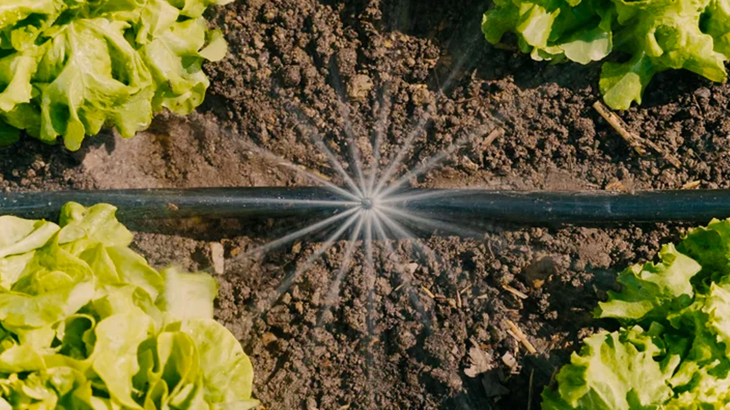 Rozprašovacia tryska 360° Gardena pre Micro-Drip-System v záhone