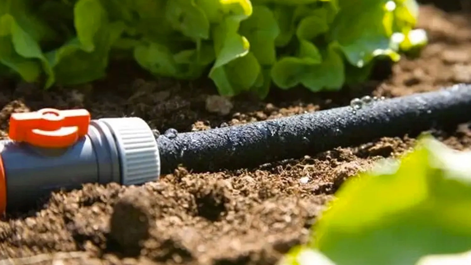 Průsakový zavlažovač Gardena 15 m v záhoně