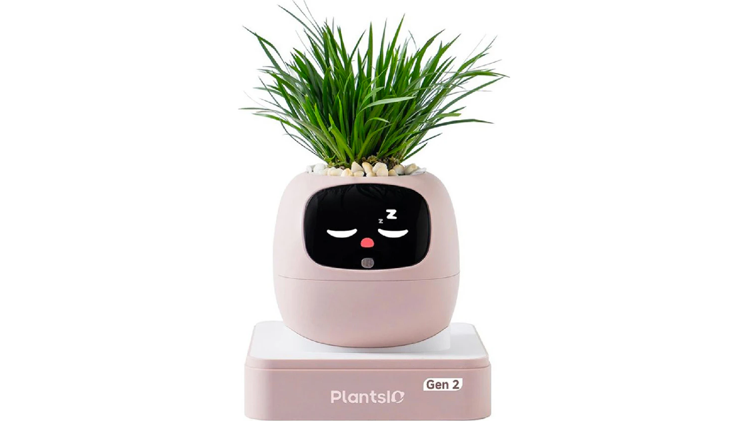 Inteligentní květináč Plantsio IVY gen 2 růžový