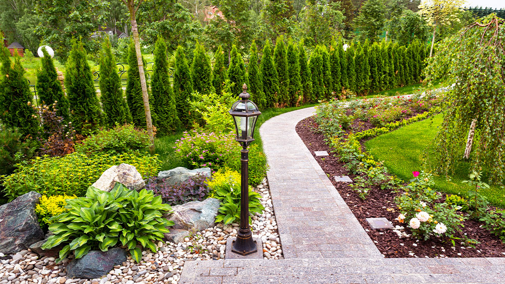 Posekaný trávník křovinořezem_02