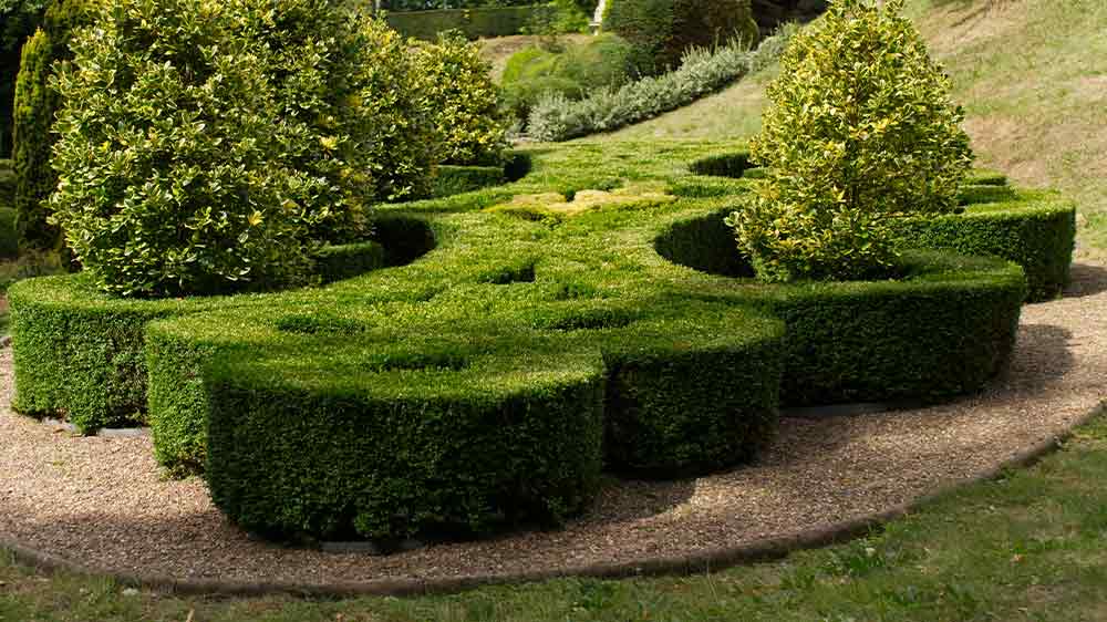 Zastrihnuté kríky _02