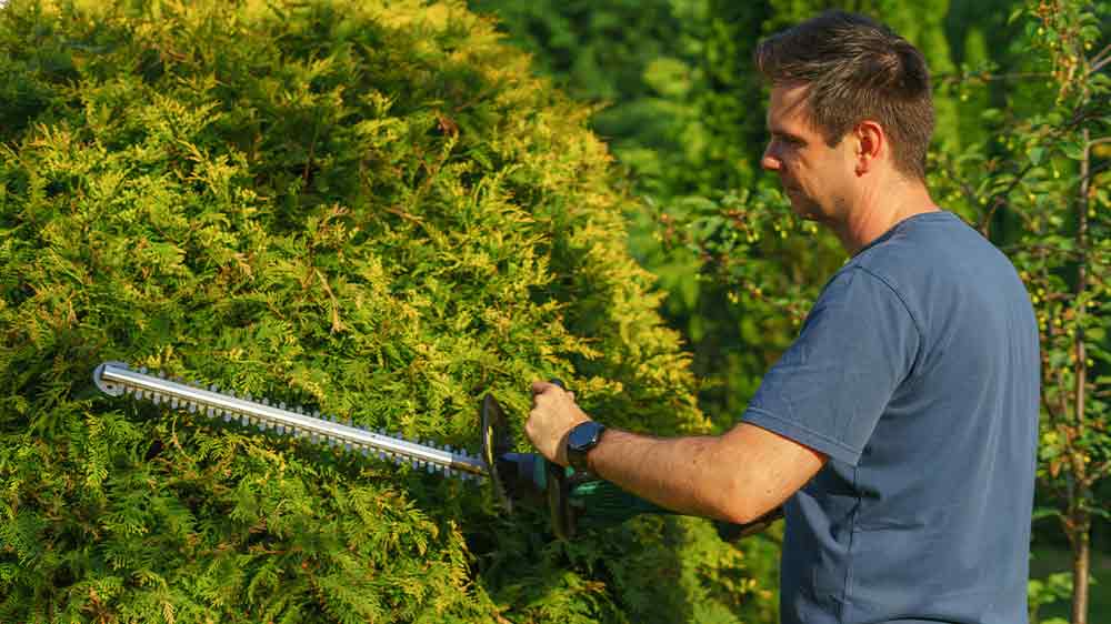 Muž strihajúci plot s nožnicami na živý plot _03