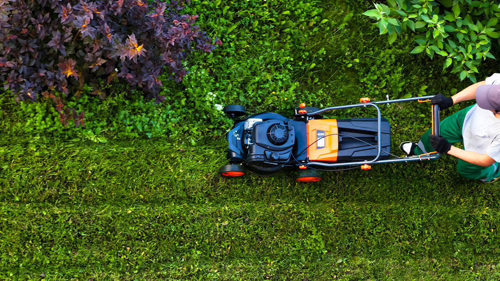 Sekačka jede po trávníku na zahradě_04