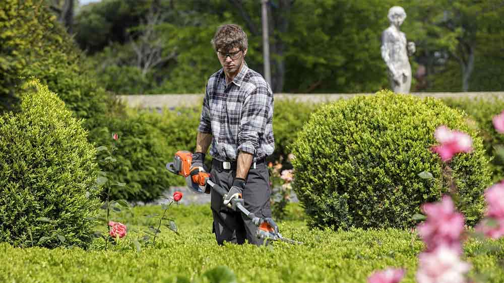Muž upravuje keř s křovinořezem_02