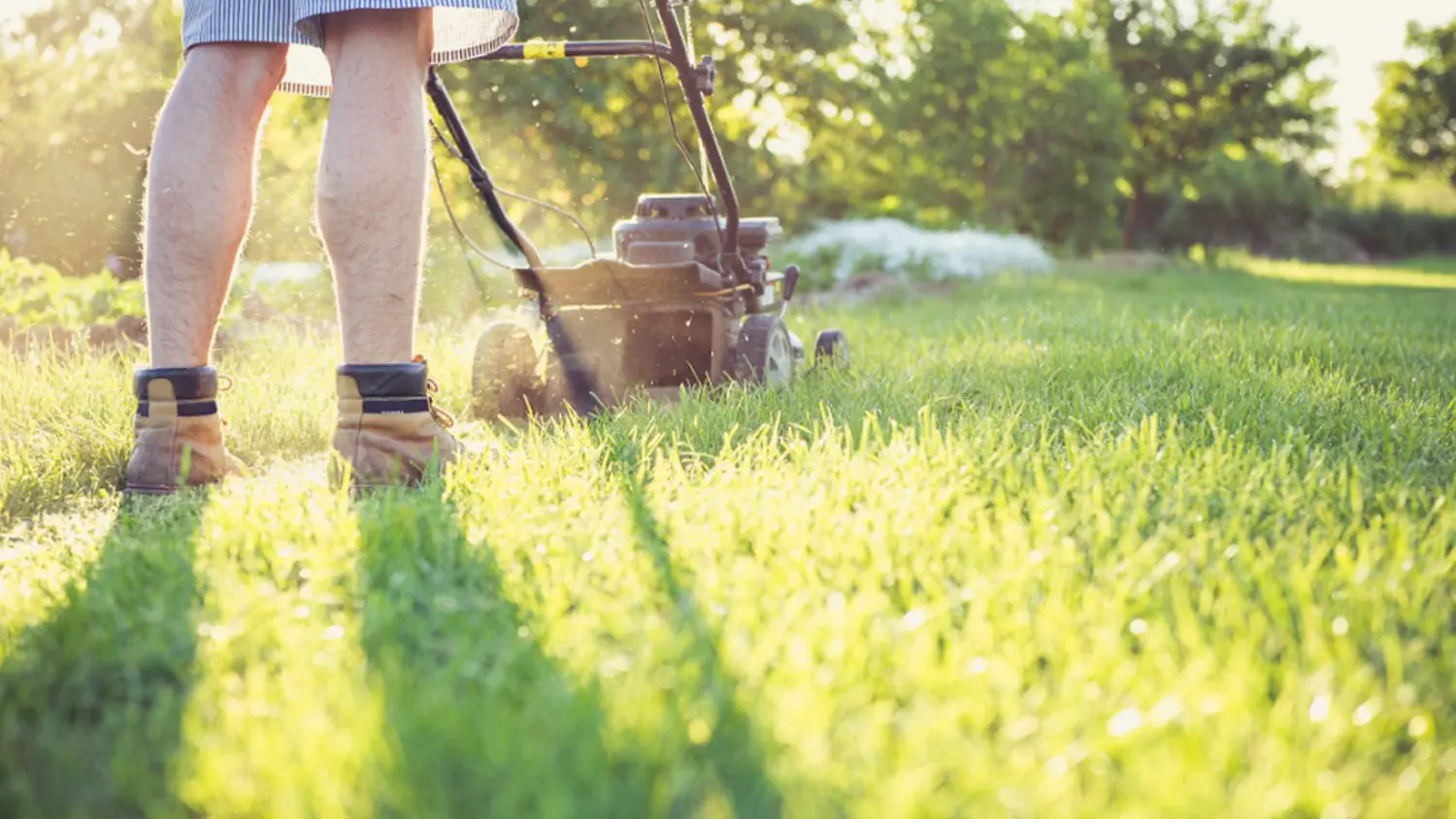 Muž seče tr&aacute;vn&iacute;k