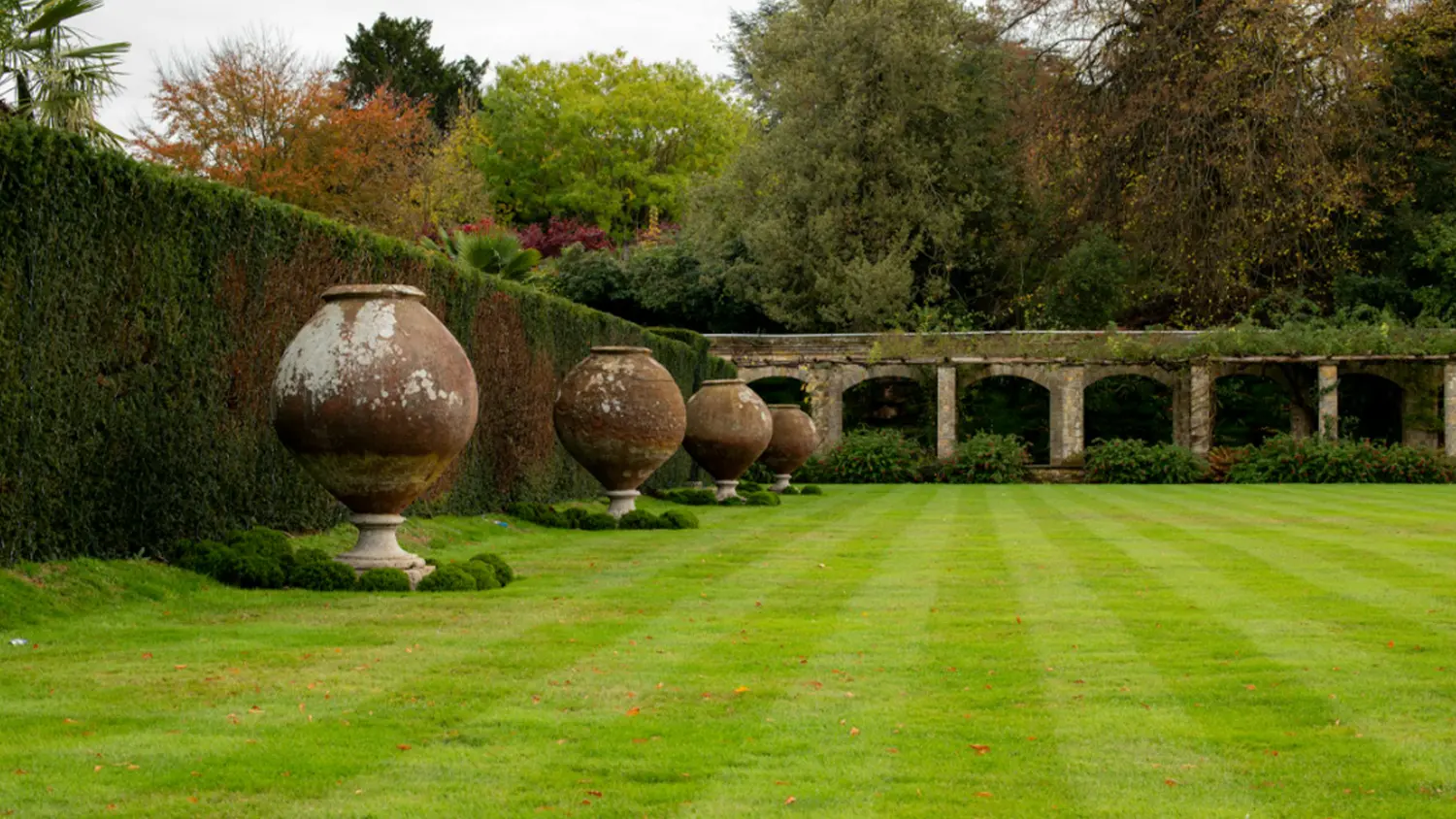 Pruhy na tr&aacute;vn&iacute;ku v zahradě